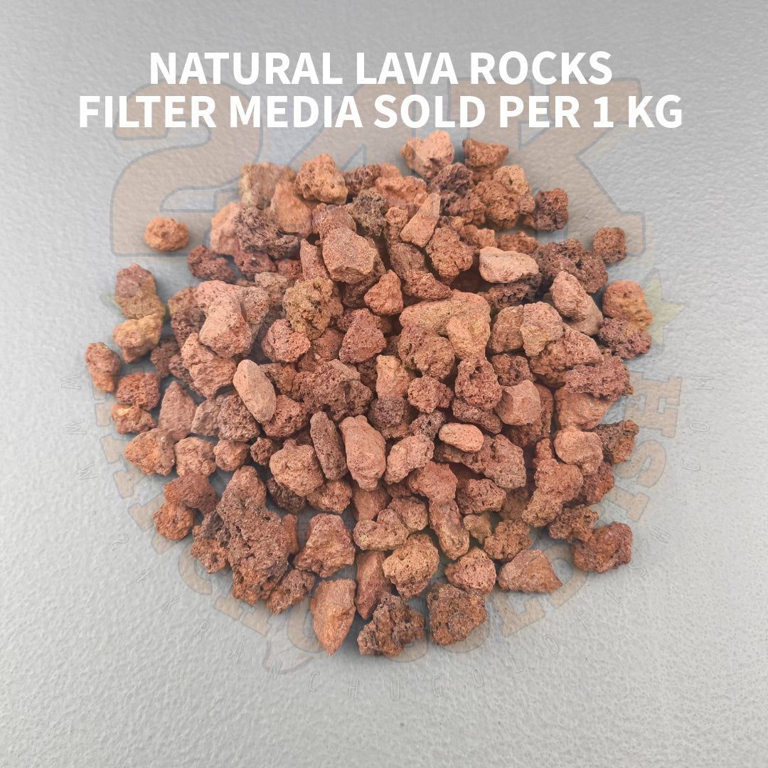 Natural Lava Rocks Small Size Filter Media for Sump Tank, Pond, Fish Tank, and Aquarium DIY Filter