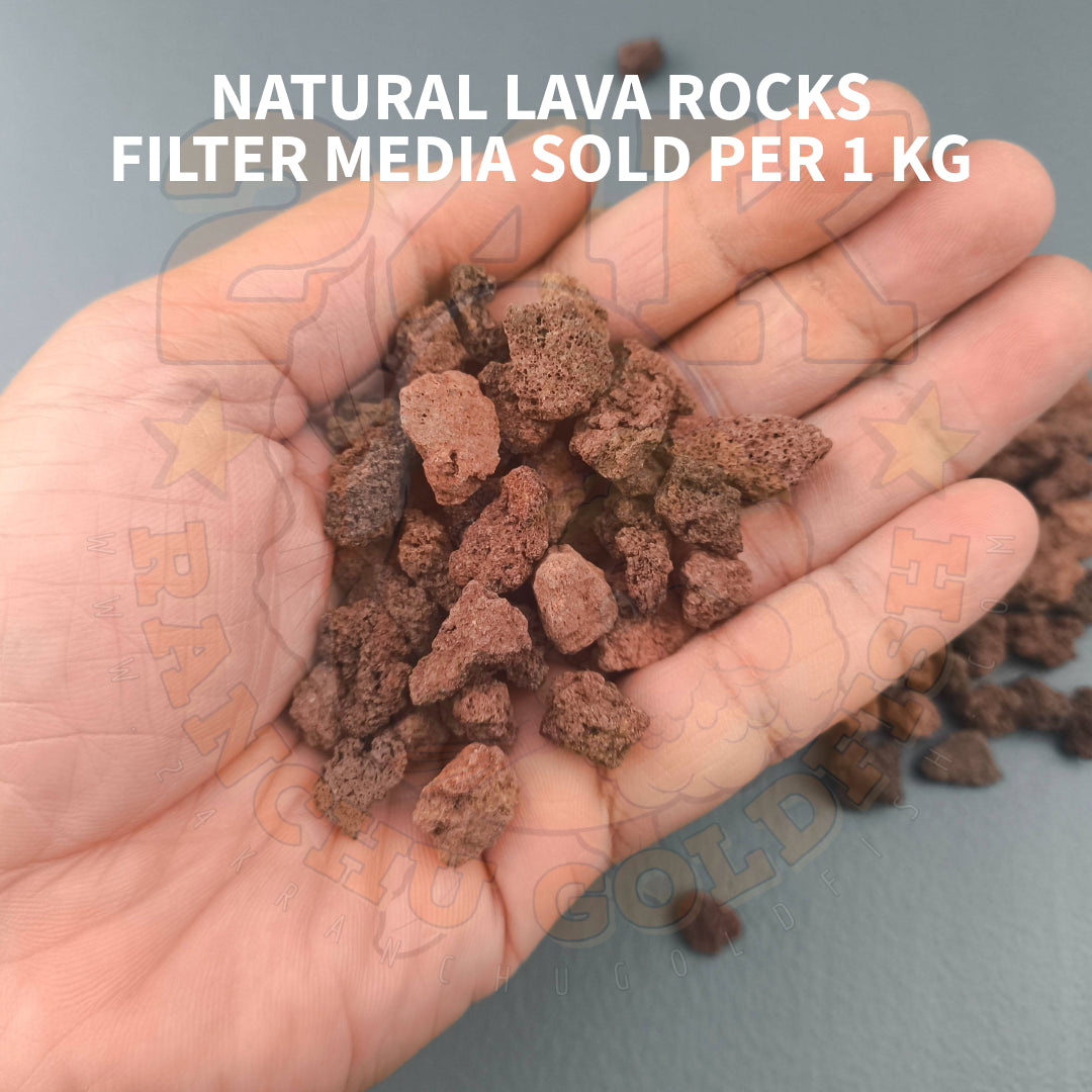 Natural Lava Rocks Small Size Filter Media for Sump Tank, Pond, Fish Tank, and Aquarium DIY Filter