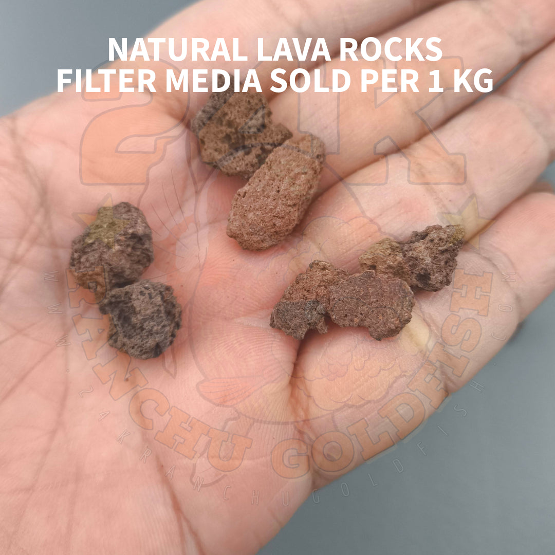 Natural Lava Rocks Small Size Filter Media for Sump Tank, Pond, Fish Tank, and Aquarium DIY Filter