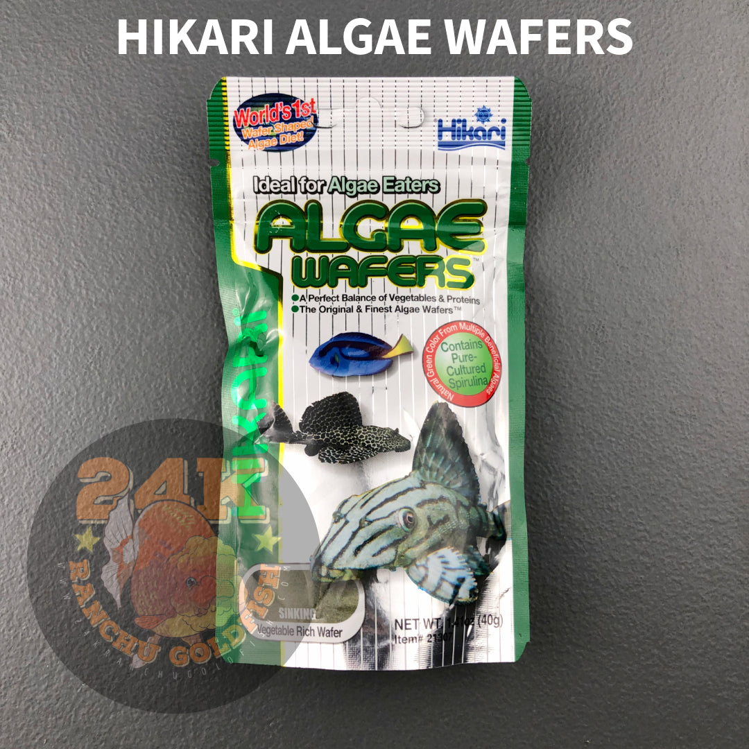 Hikari Algae Wafers Sinking Vegetable Rich Wafer For Plecostomus And Other Algae Eating Fishes 40g, 82g Original Japan