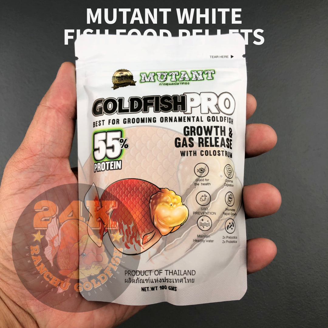 Mutant White Ornamental Goldfish Pro Pellet Sinking Growth and Gas Release Thailand 100g