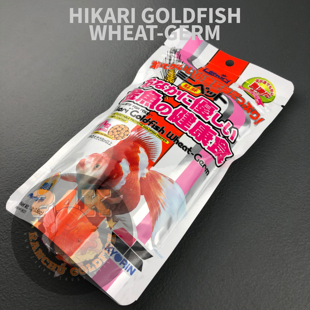 Hikari Goldfish Wheat-Germ Floating Pellets High Fiber Content Original Japan (50g, 100g)