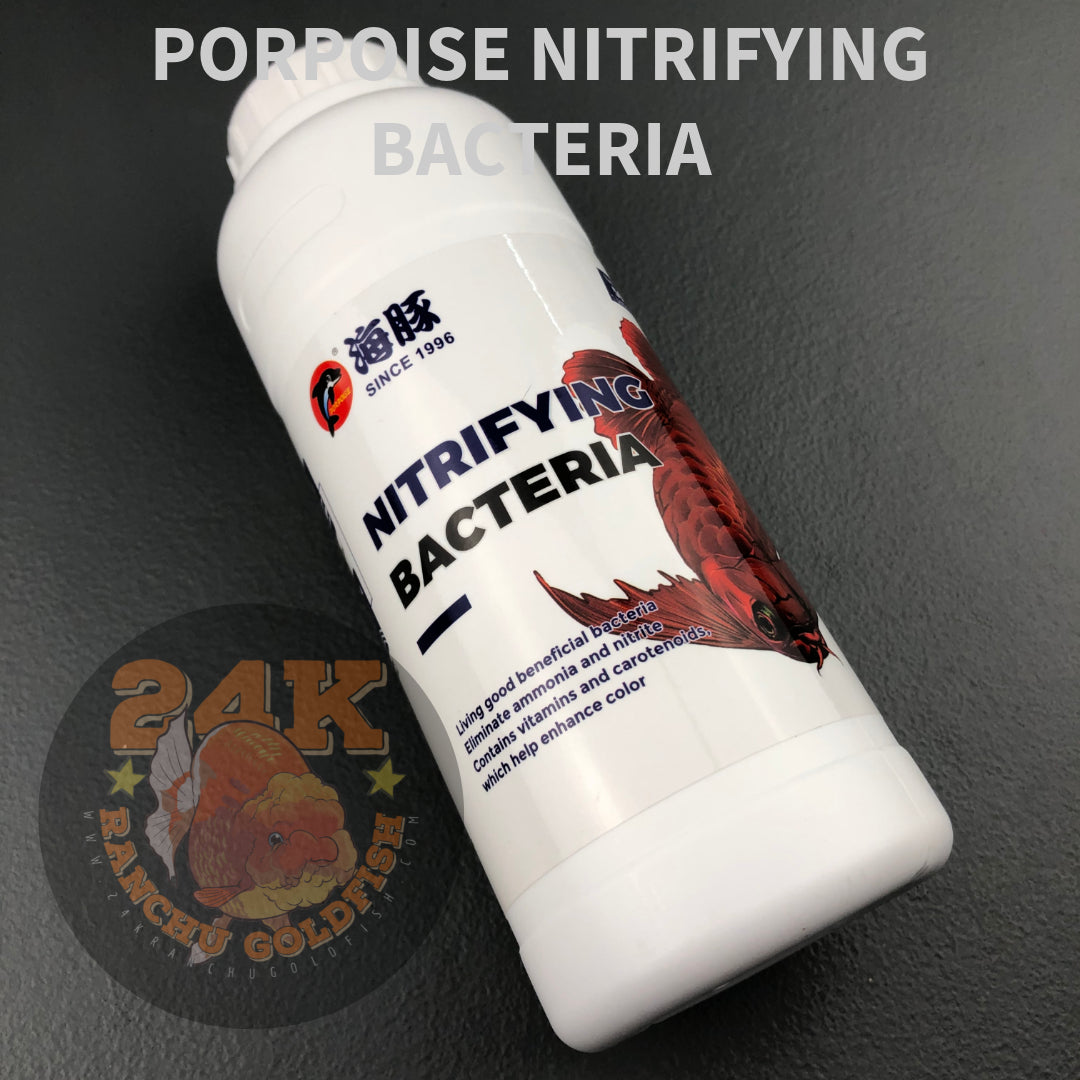 Porpoise Nitrifying Bacteria for Aquarium, Fish Tanks, and Ponds 500ml