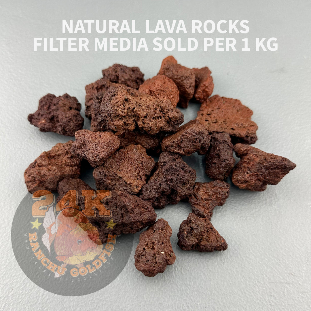 Natural Lava Rocks Filter Media for Sump Tank, Pond, Fish Tank, and Aquarium DIY Filter Sold per 1kg