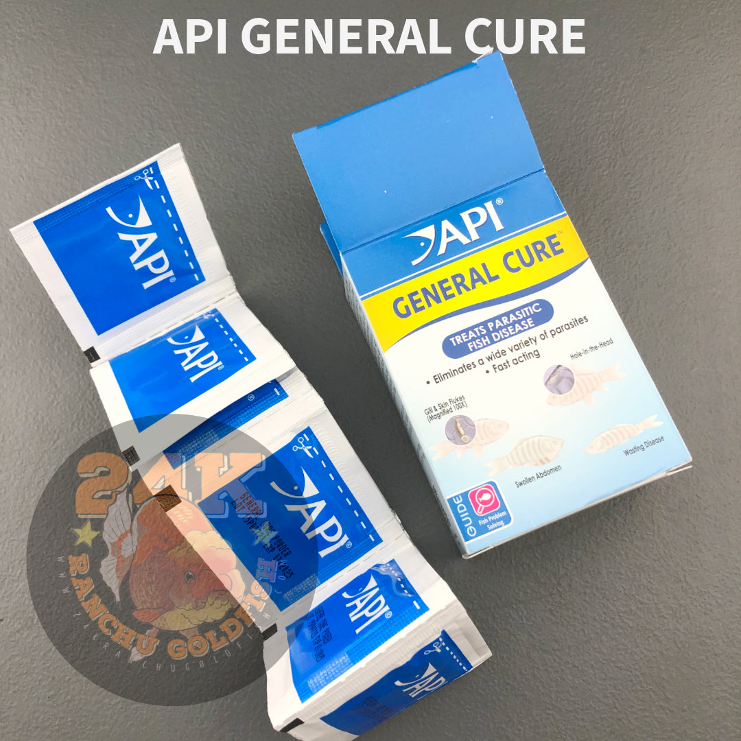 API General Cure Treatment for Freshwater and Saltwater Fish Internal Parasitic Diseases Original