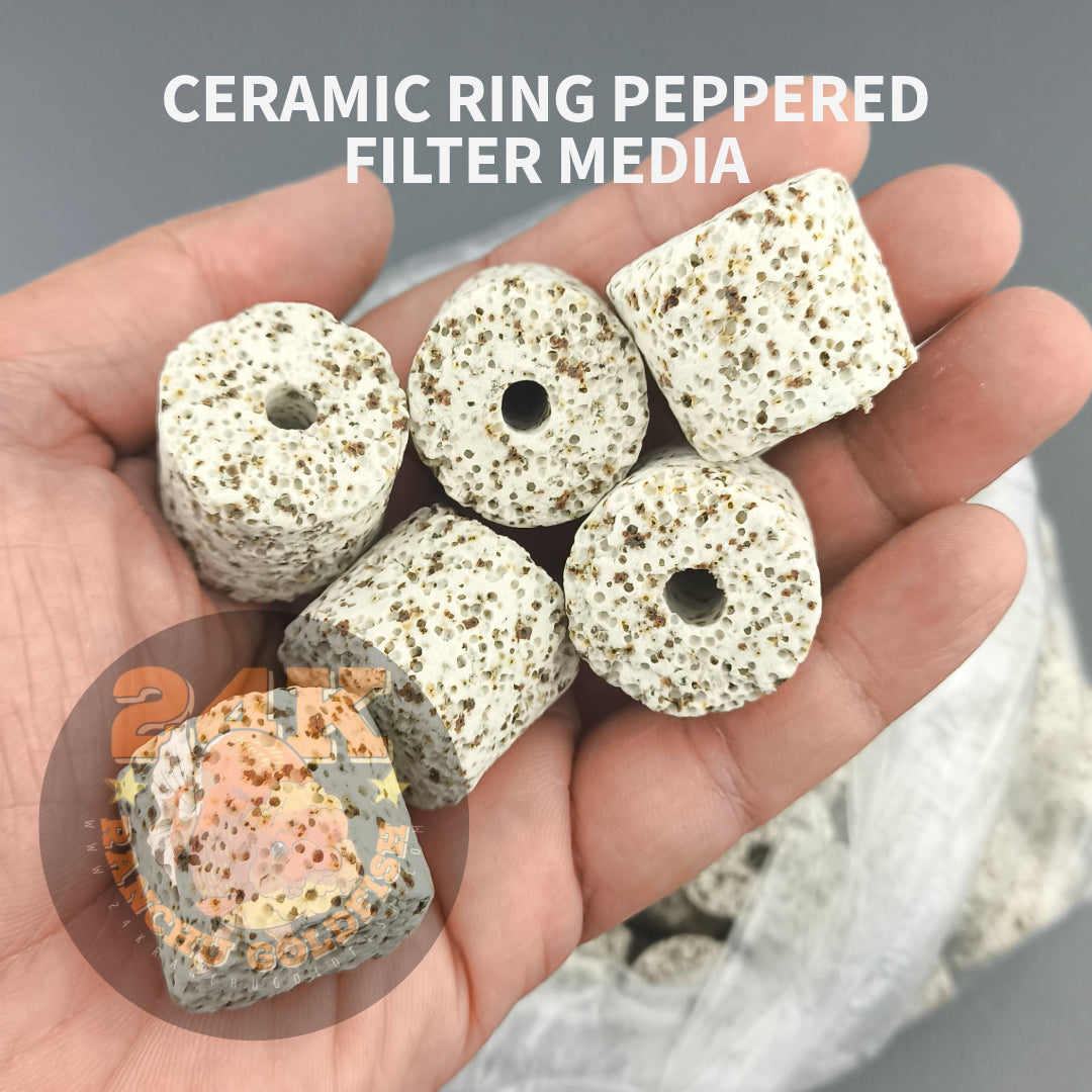 Ceramic Rings Peppered Filter Media for Sump Tank, Pond, Fish Tank, and Aquarium DIY Filter