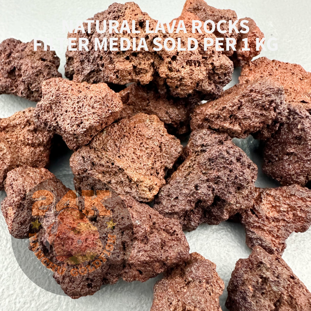 Natural Lava Rocks Filter Media for Sump Tank, Pond, Fish Tank, and Aquarium DIY Filter Sold per 1kg