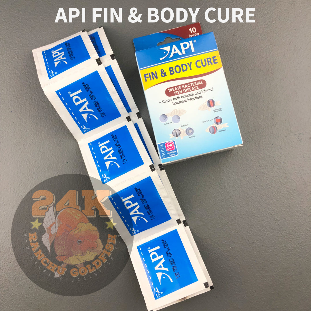 API Fin and Body Cure Treatment for Body Slime, Eye Cloud, Fin & Tail Rot, Open Red Sores, Gill Disease Original