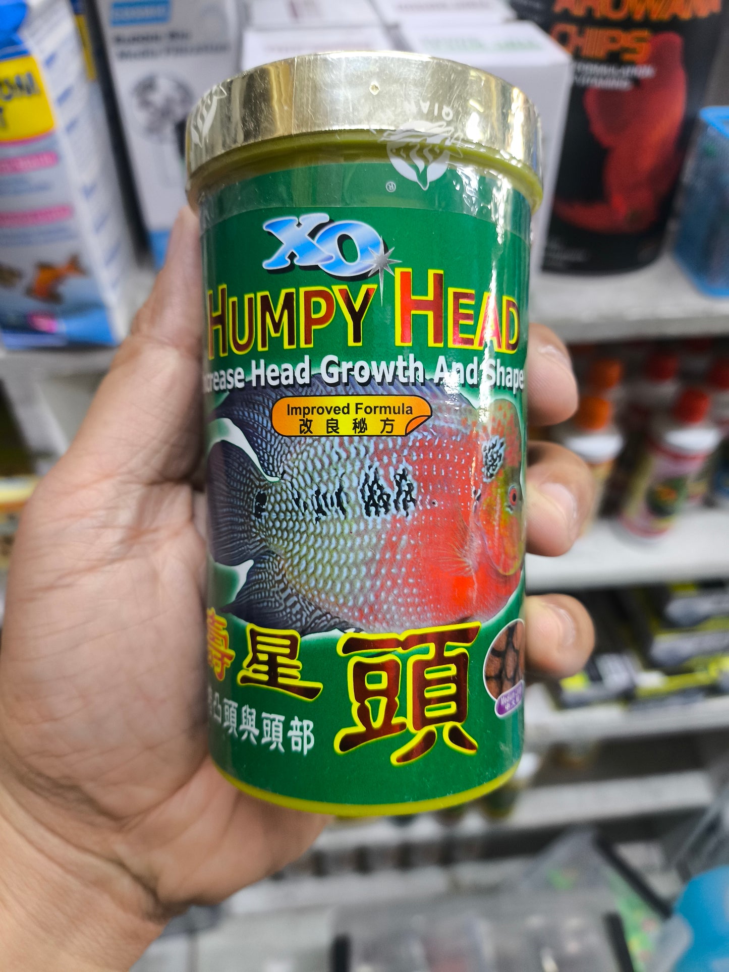 Ocean Free XO Humpy Head Ever Red and Super Red Syn Flowerhorn  Kok & Color Support
