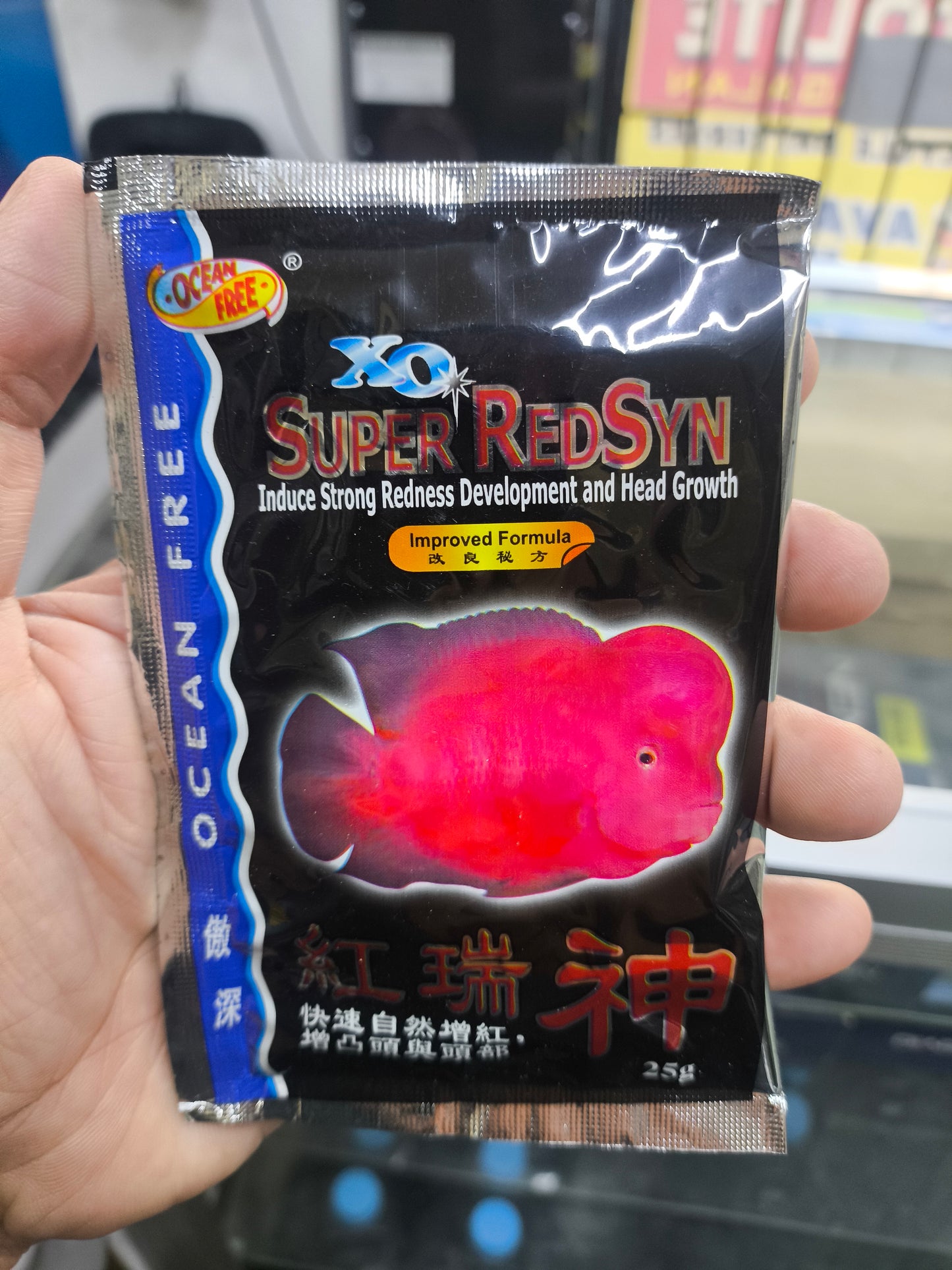Ocean Free XO Humpy Head Ever Red and Super Red Syn Flowerhorn  Kok & Color Support