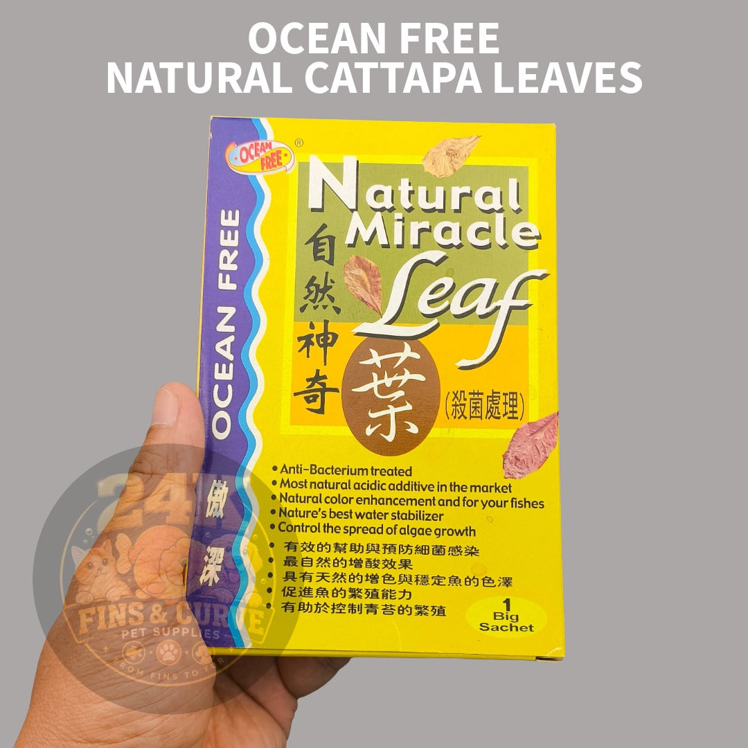 Ocean Free Natural Miracle Leaf Catappa Leaves Aquarium Water Conditioner 1 Big Sachet